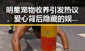 51黑料网