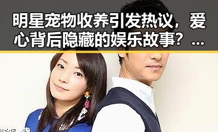 明星宠物收养引发热议，爱心背后隐藏的娱乐故事？🐶✨