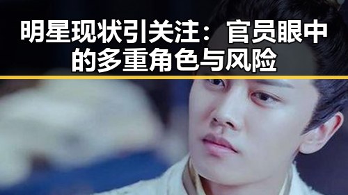 明星现状引关注：官员眼中的多重角色与风险