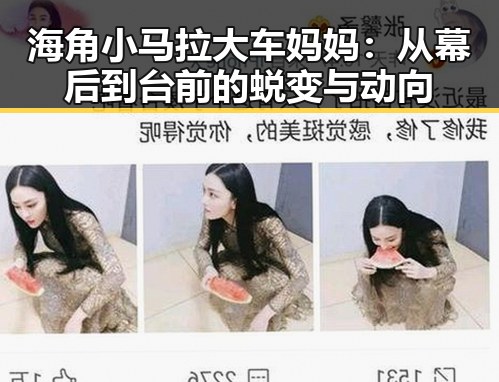 海角小马拉大车妈妈：从幕后到台前的蜕变与动向