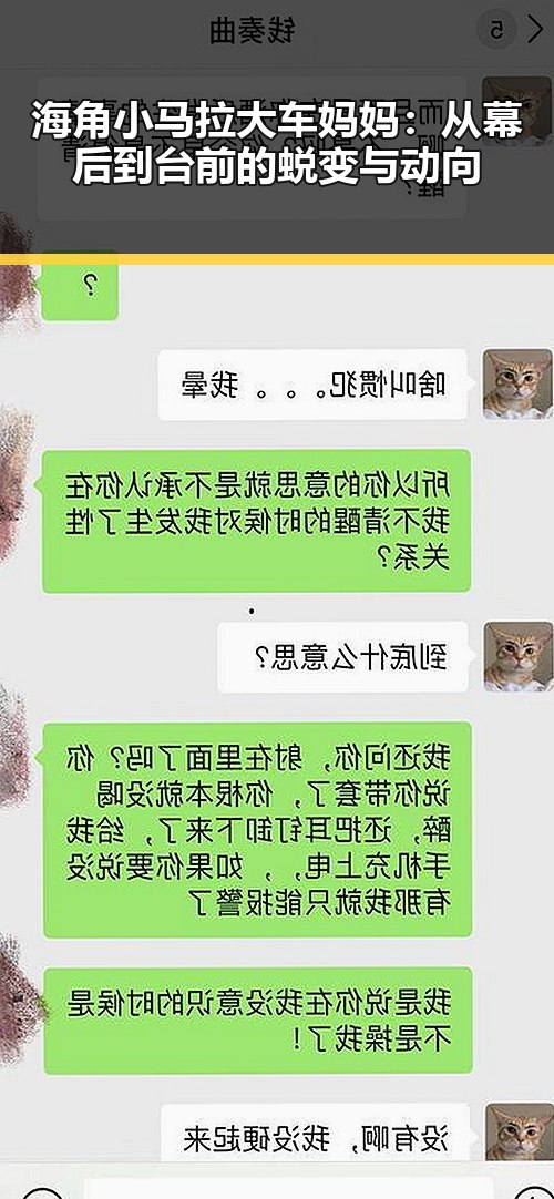 海角小马拉大车妈妈：从幕后到台前的蜕变与动向